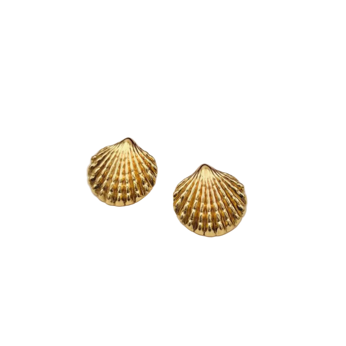 THE SEA SHELL EARRINGS