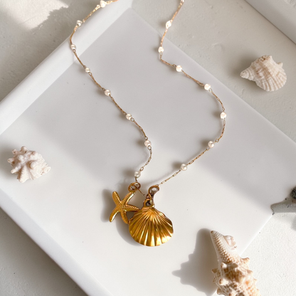 STAR SHELL NECKLACE